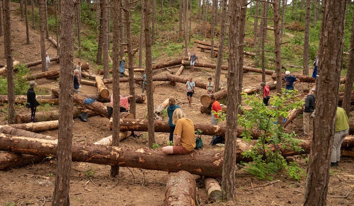 Publiek tijdens bij Assembly of Trees van theatermaker Elmo Vermijs, een expeditie voorstelling tijdens Oerol 2022.