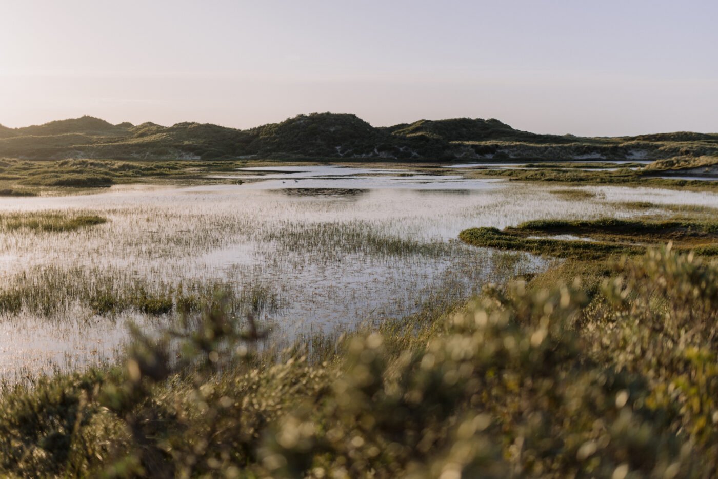 uitzicht over natuur-/duingebied de Noordsvaarder op Terschelling