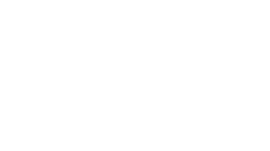 Stage Cultuur Inclusief