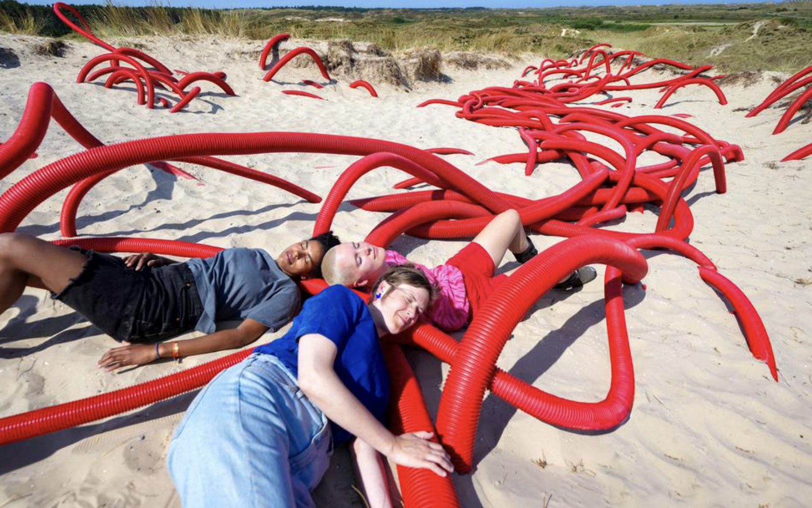 ‘Spreken tegen de wind in’: Oerol-installatie over de drie Terschellinger dialecten. Op het snijvlak van woordkunst en beeldende kunst