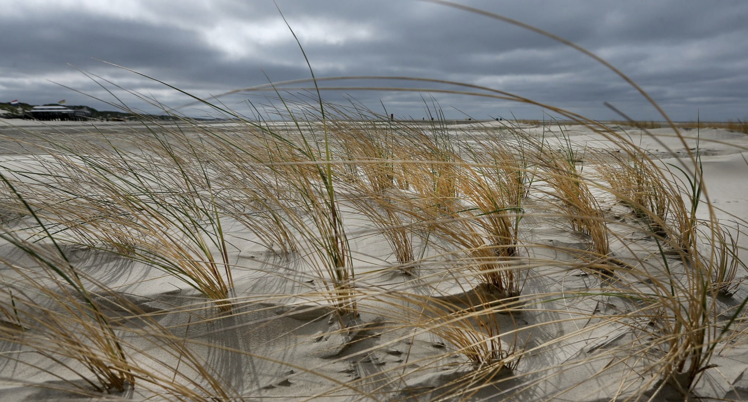 Peergroup vroeg uit de veren voor voorstelling op Oerol: ‘Gemaakt voor deze plek’