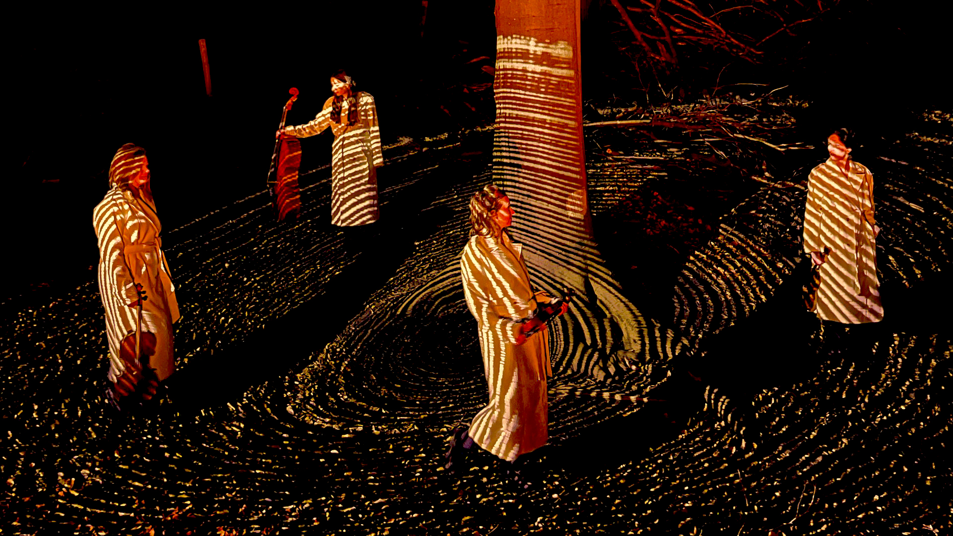 Betoverend mooie verklanking van het geheime leven van hout