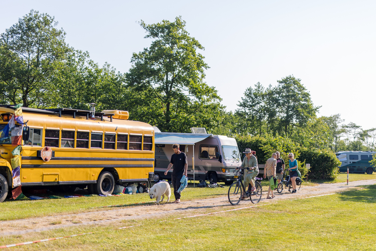 Additional evening buses during weekends